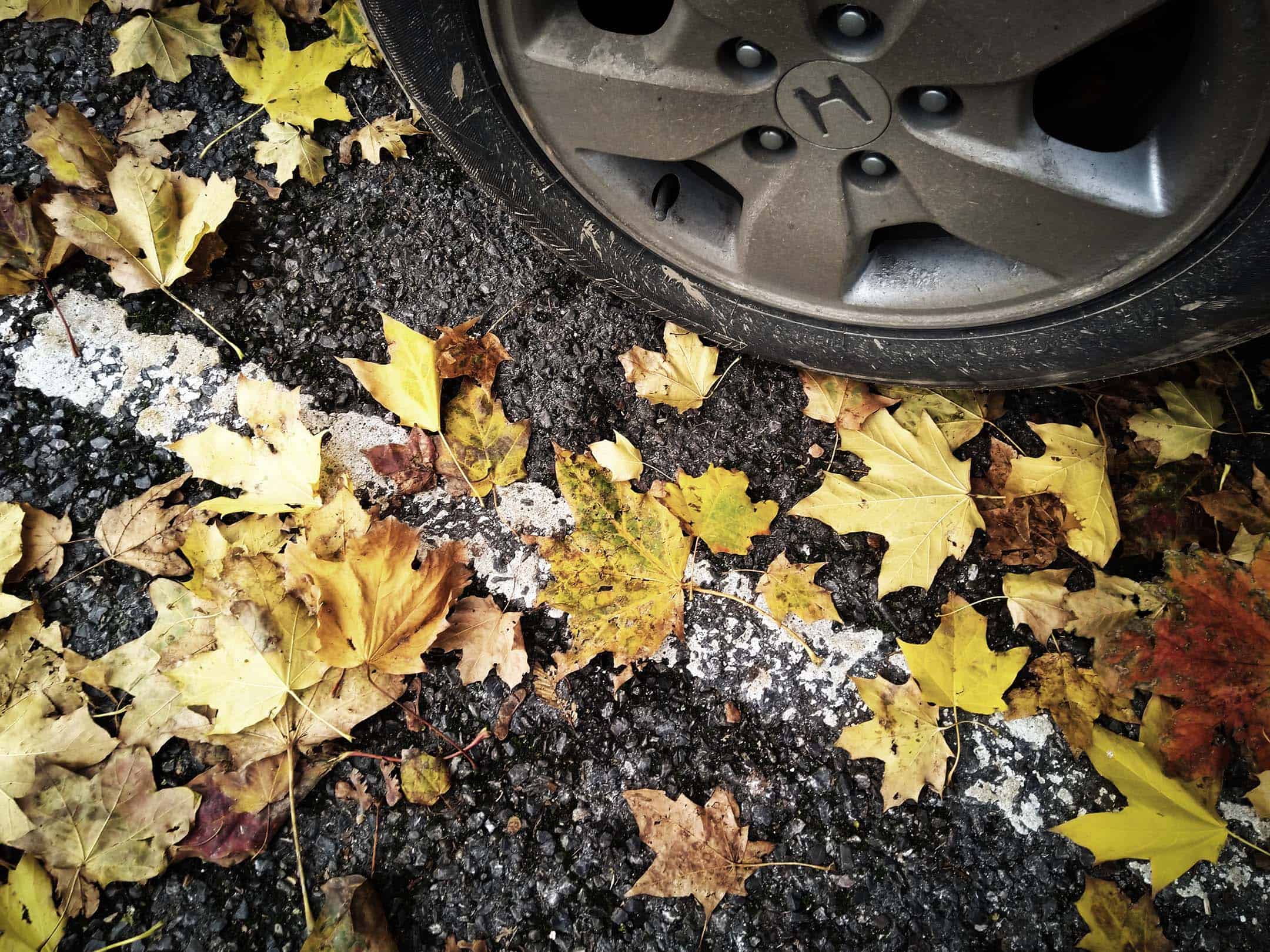 Car Wheel With Autumn Leaves