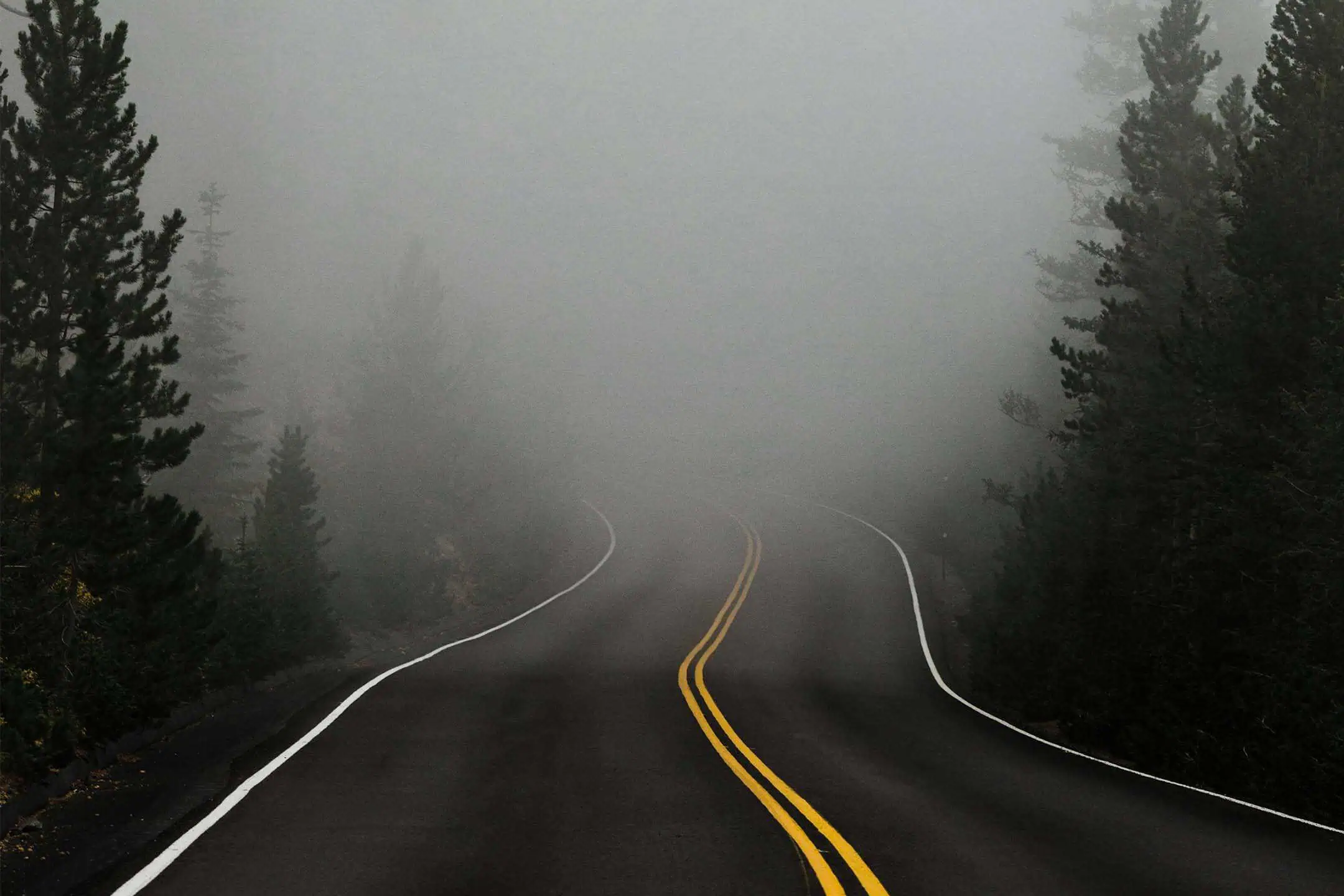 Driving In Fog