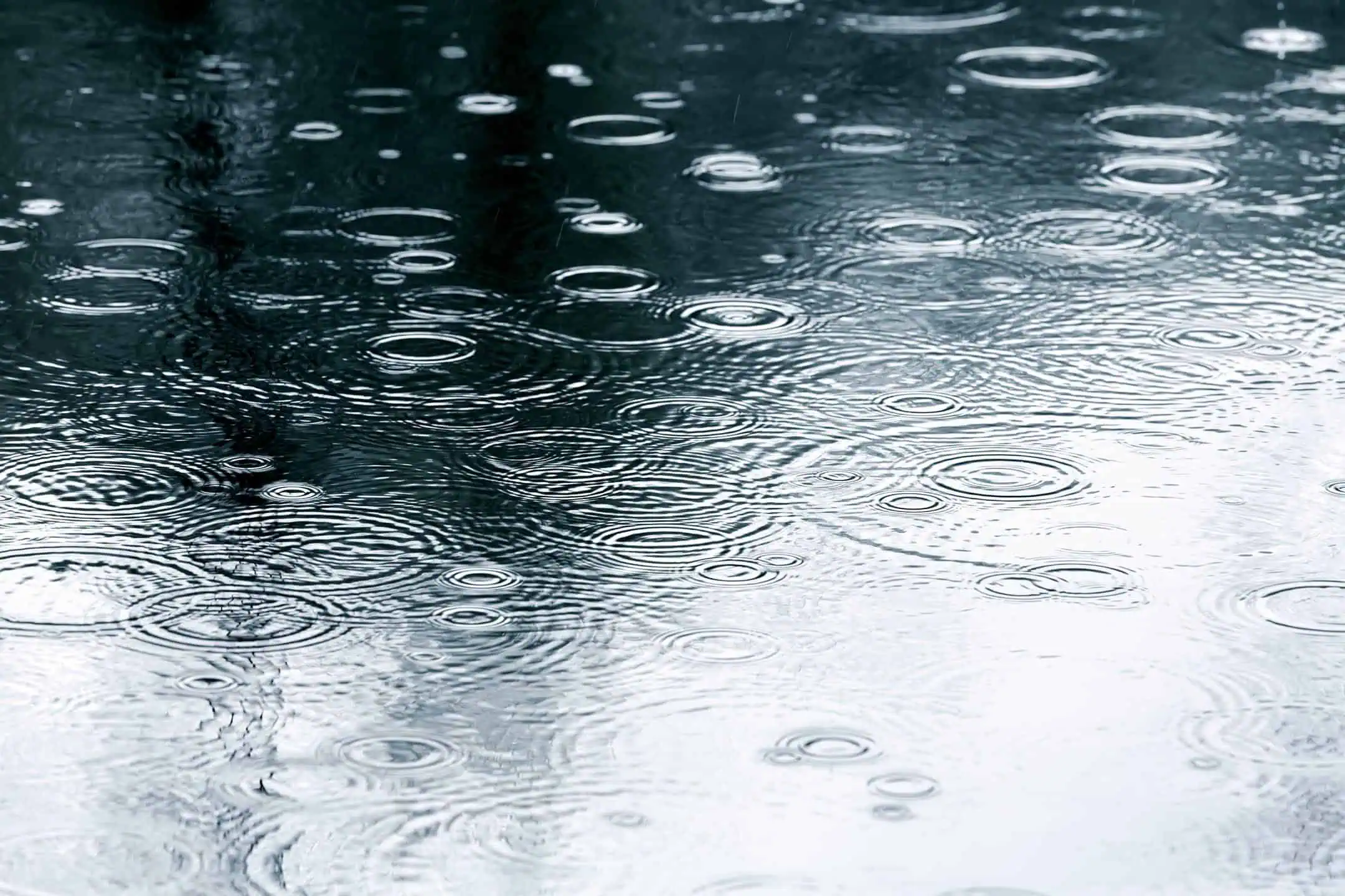 Rain Falling Making Puddle Rings